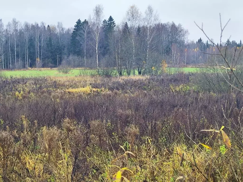 Участок в Московская область, Солнечногорск городской округ, д. Мостки ... - Фото 1