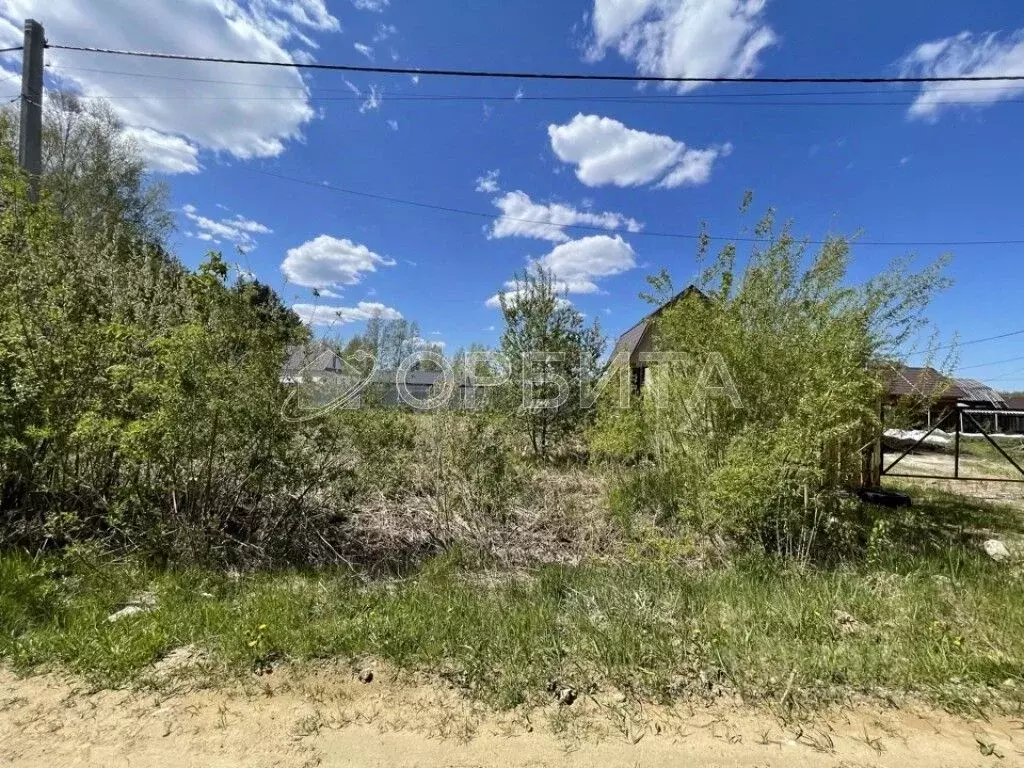 Участок в Тюменская область, Тюменский муниципальный округ, с. Луговое ... - Фото 1