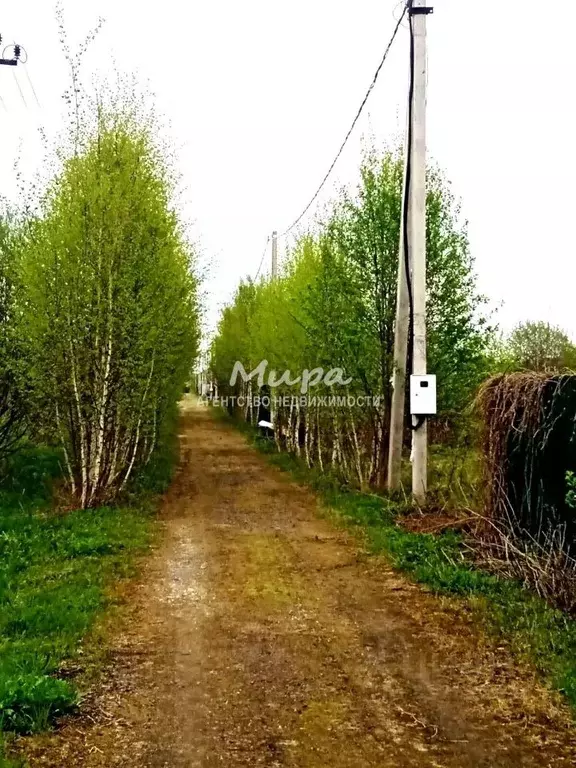 Участок в Московская область, Раменский муниципальный округ, 23-1 кв-л ... - Фото 0