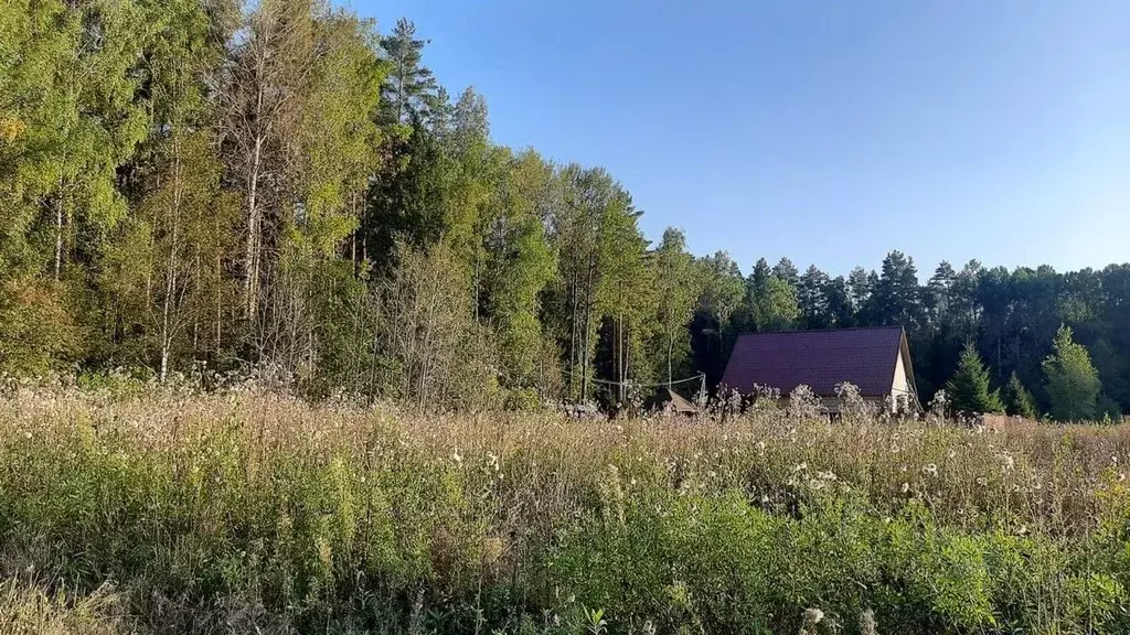 Участок в Московская область, Лотошино муниципальный округ, д. ... - Фото 1