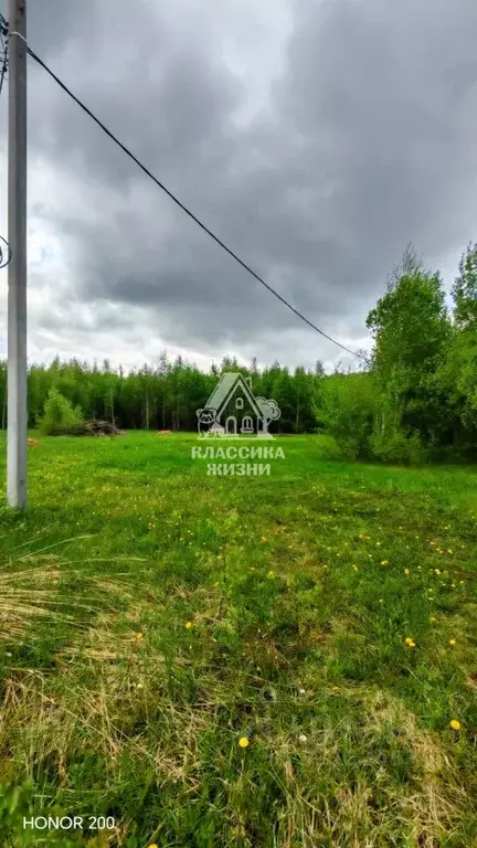 Участок в Нижегородская область, Богородский муниципальный округ, д. ... - Фото 2