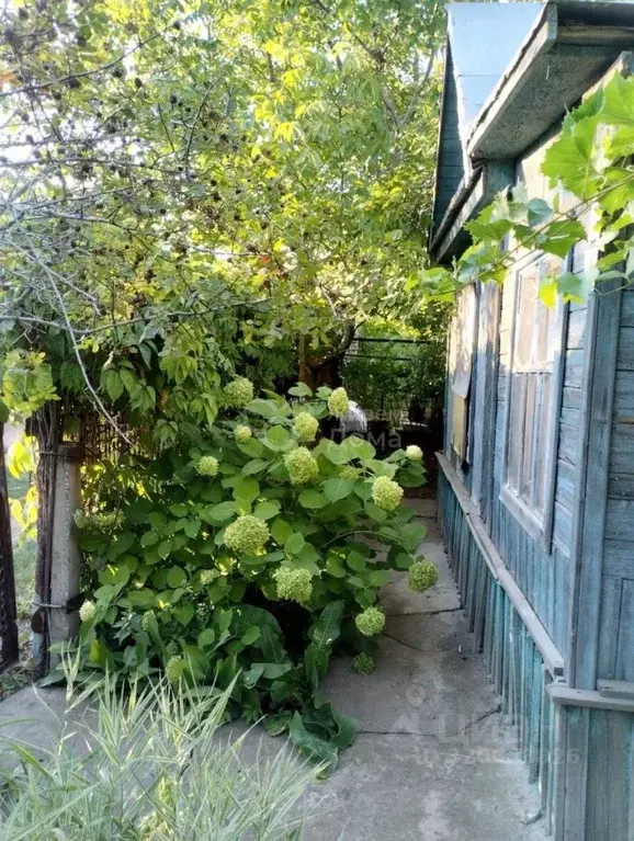 Дом в Волгоградская область, Волжский Заканалье СНТ, ул. 1-я (20 м) - Фото 1