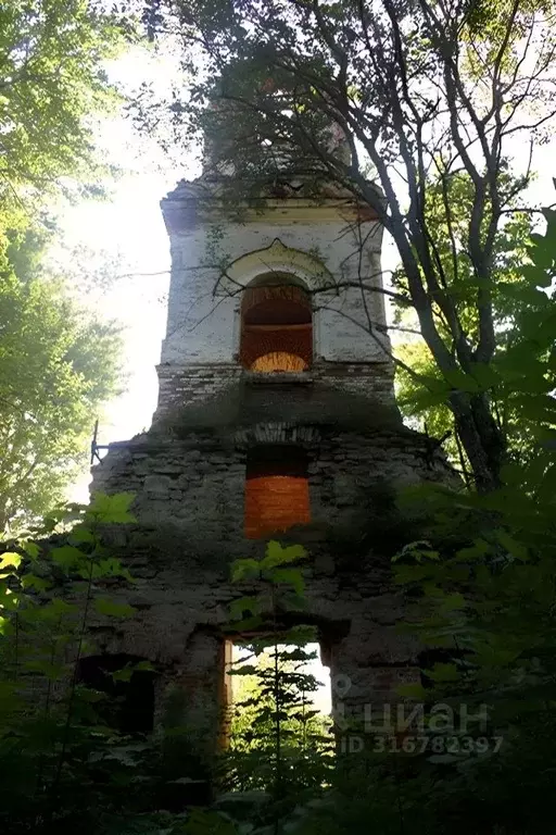 Участок в Ленинградская область, Ломоносовский район, Лопухинское ... - Фото 0