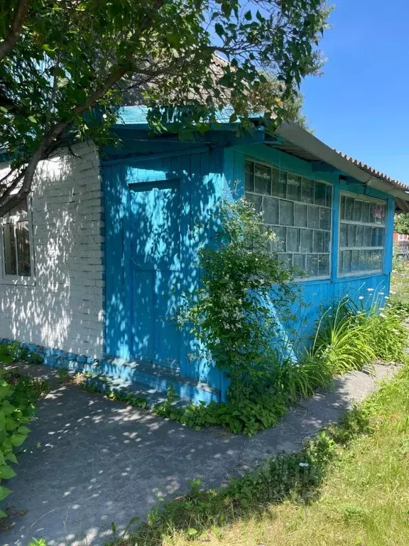 Дом в Омская область, Омск СОСН Степное имени Е.Ш. Левина тер., 2565 ... - Фото 0
