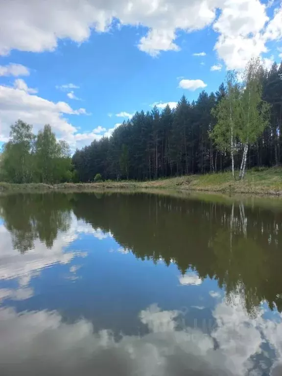 Участок в Тульская область, Ясногорский район, Иваньковское ... - Фото 0