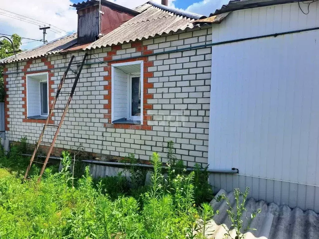 Дом в Белгородская область, Валуйский городской округ, с. Безгодовка ... - Фото 0