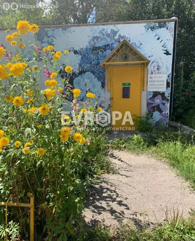 Помещение свободного назначения (29 м) - Фото 1