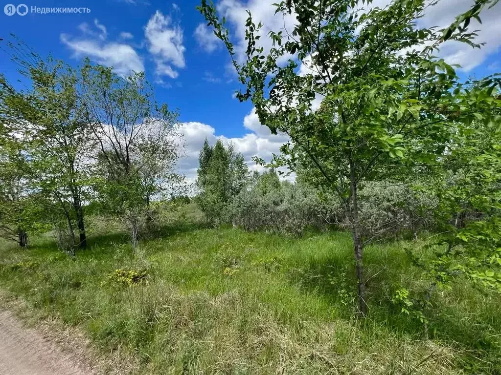 Участок в Красноармейский округ, деревня Фёдоровка (11.59 м) - Фото 0