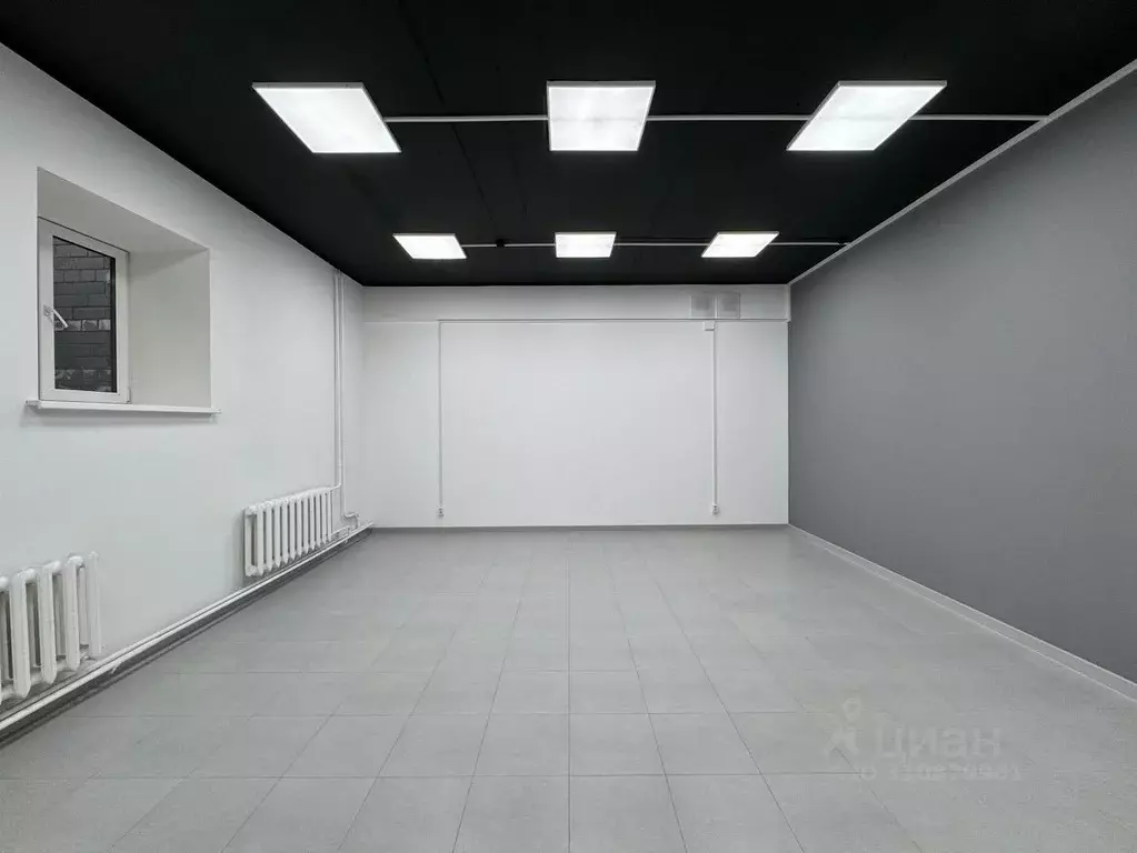 Помещение свободного назначения в Кировская область, Киров ул. ... - Фото 1