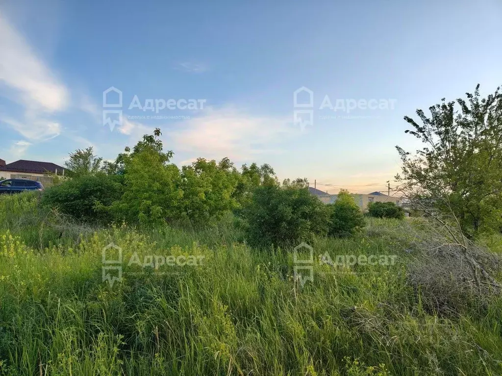 Участок в Волгоградская область, Городище рп, СНТ усадьба ул. 4-я (6.0 ... - Фото 2