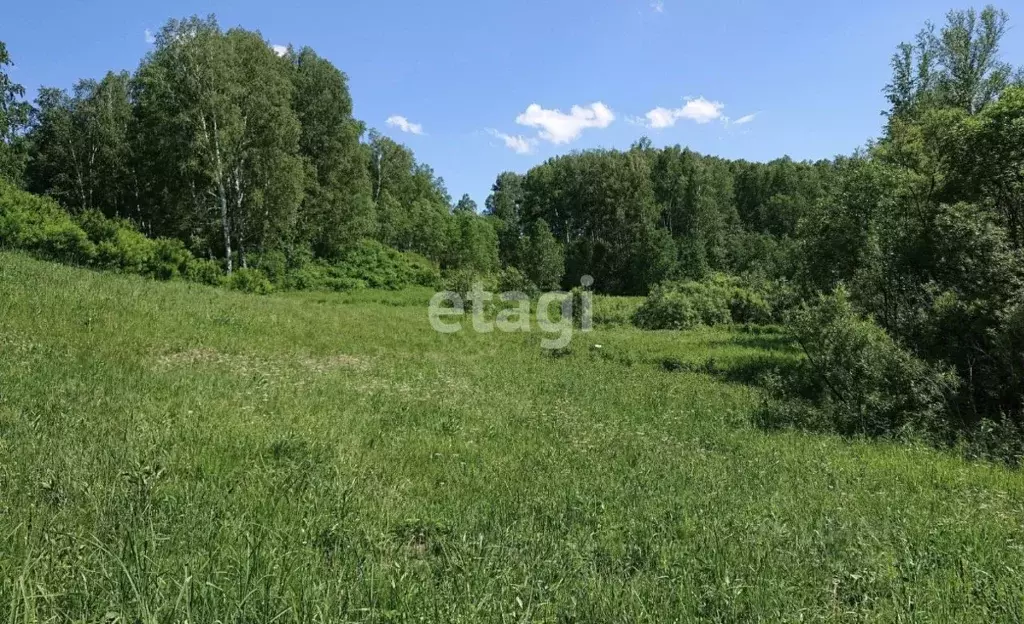 Участок в Новосибирская область, Тогучинский район, Ветеран СНТ  (8.6 ... - Фото 0