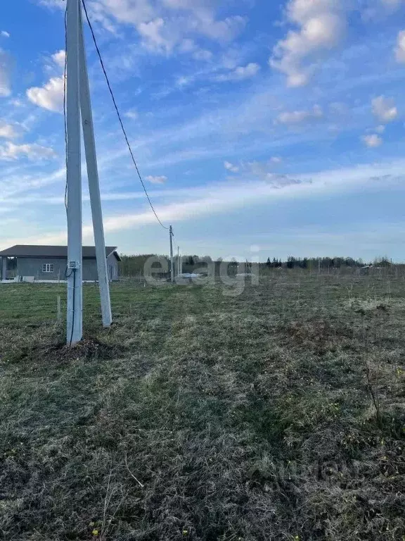 Участок в Костромская область, Красносельский район, Гридинское с/пос, ... - Фото 1