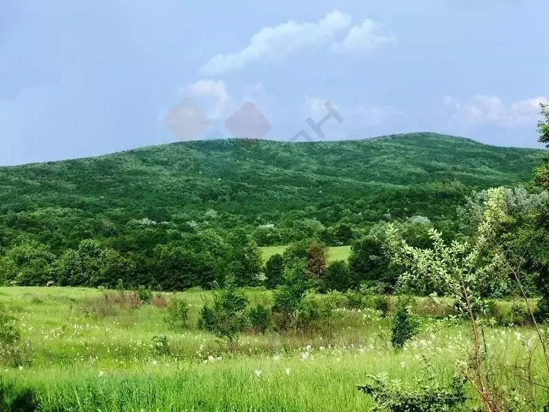 Участок в Краснодарский край, Горячий Ключ ул. Промышленная, 6А/2 ... - Фото 0