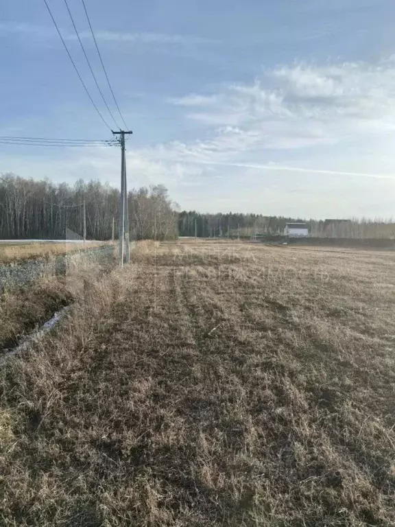 Участок в Тюменская область, Тюменский муниципальный округ, с. Кулига  ... - Фото 2