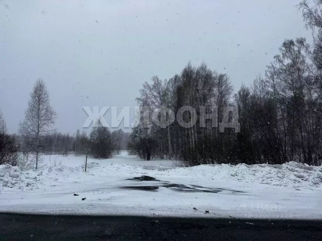 Участок в Новосибирская область, Мошково рп ул. Народная (3500.0 сот.) - Фото 1