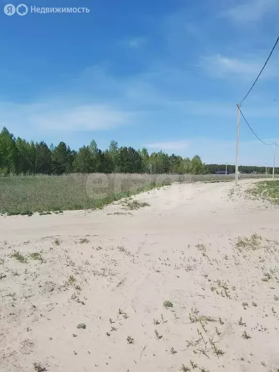 Участок в Тюменский район, деревня Криводанова (5.63 м) - Фото 1