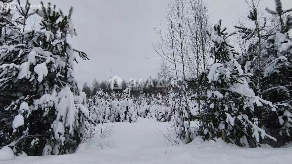 Участок в Владимирская область, Судогодский муниципальный округ, ДНТ ... - Фото 2