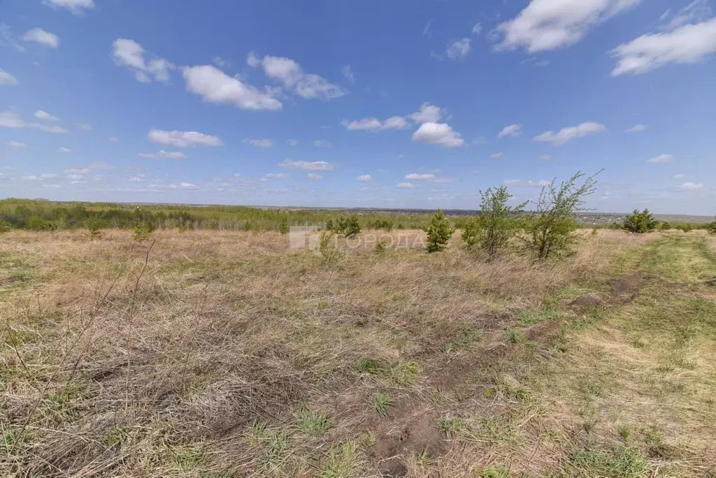 Участок в Алтайский край, Барнаул городской округ, пос. Бельмесево ул. ... - Фото 1