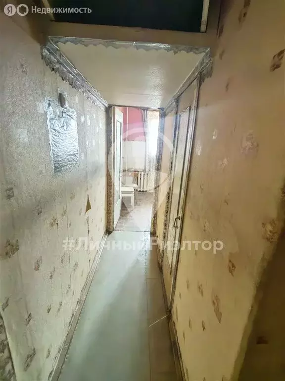 1-комнатная квартира: Рязань, Московское шоссе, 41к1 (32.7 м) - Фото 1