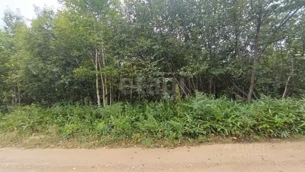 Участок в Сахалинская область, Южно-Сахалинск  (14.44 сот.) - Фото 1