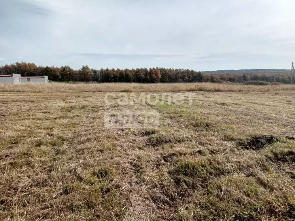 Участок в Сахалинская область, Анивский городской округ, с. Мицулевка  ... - Фото 1