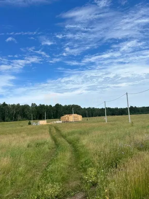 Участок в Алтайский край, Первомайский район, с. Фирсово, Полесье мкр  ... - Фото 1