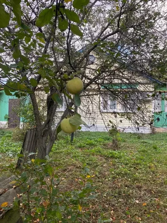 Дом в Липецкая область, Чаплыгинский муниципальный округ, с. ... - Фото 2