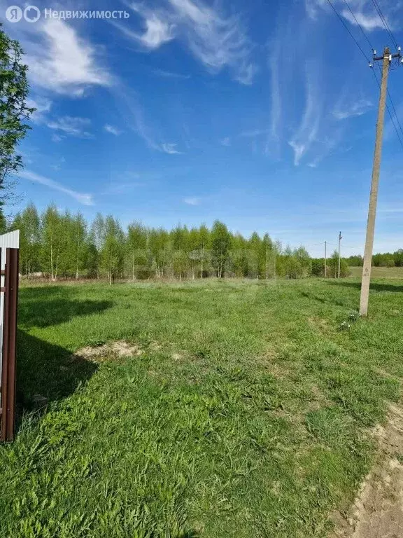 Участок в Череповецкий район, муниципальное образование Югское, село ... - Фото 0
