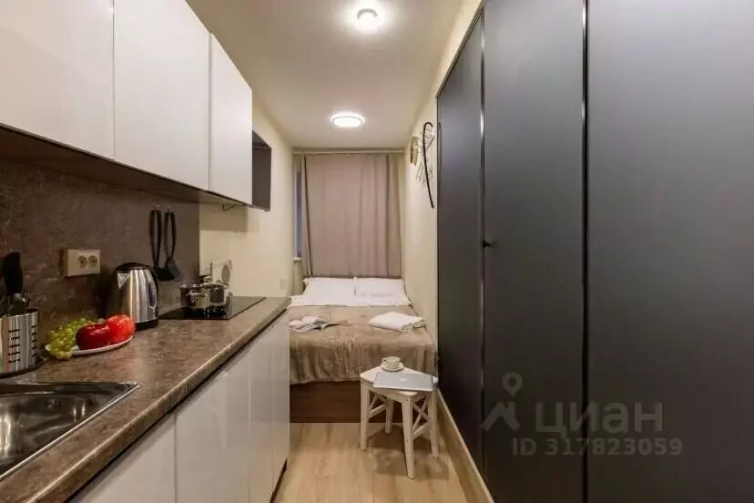 Студия Санкт-Петербург наб. Реки Фонтанки, 168В (10.0 м) - Фото 0