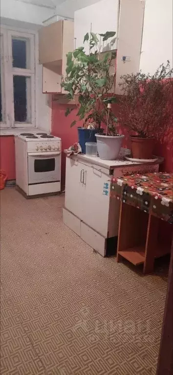 Комната Новосибирская область, Бердск ул. Попова, 35 - Фото 0
