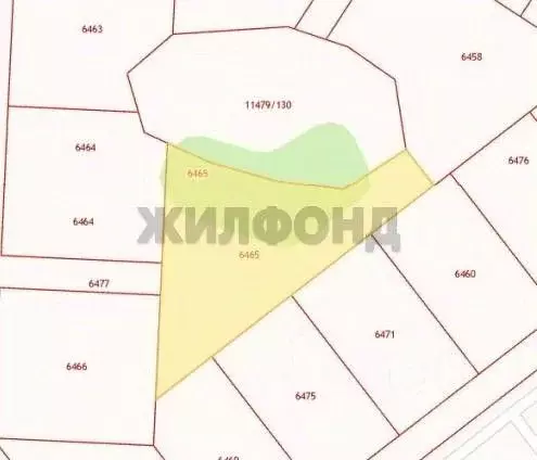 Участок в Новосибирская область, Новосибирский район, Морской ... - Фото 1