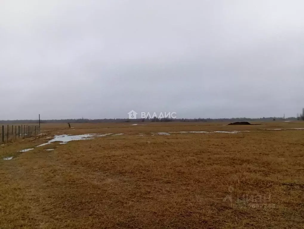 Участок в Московская область, Раменский муниципальный округ, д. ... - Фото 0