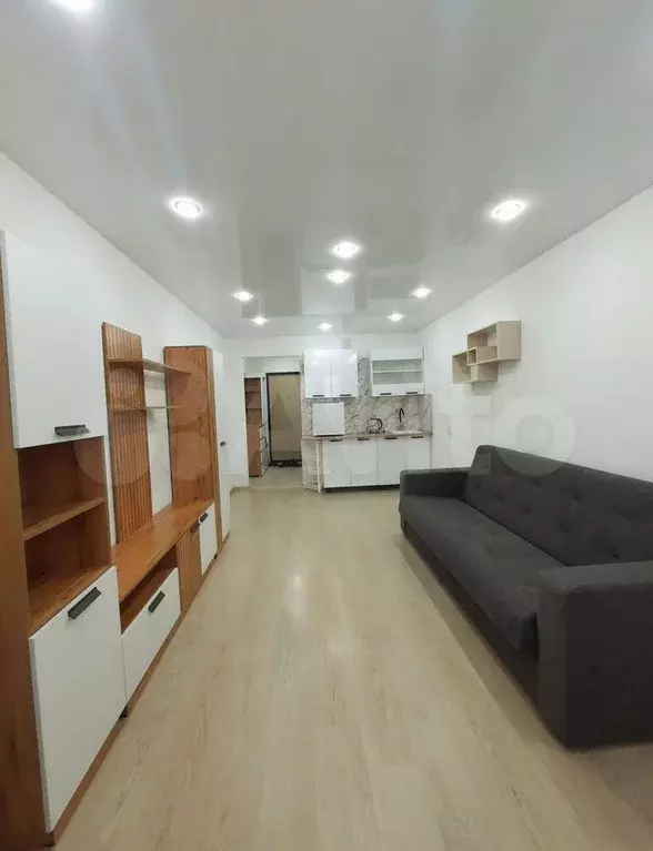 Квартира-студия, 25,4 м, 13/17 эт. - Фото 1