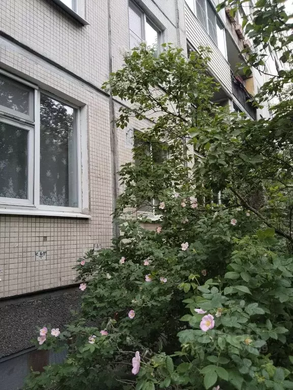 2-к кв. Санкт-Петербург ул. Димитрова, 7К2 (45.0 м) - Фото 0