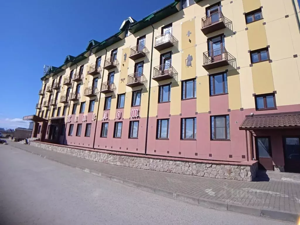 Помещение свободного назначения в Псковская область, Псков ул. ... - Фото 1