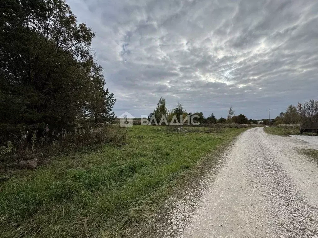 Участок в Владимирская область, Ковровский район, Ивановское с/пос, с. ... - Фото 2