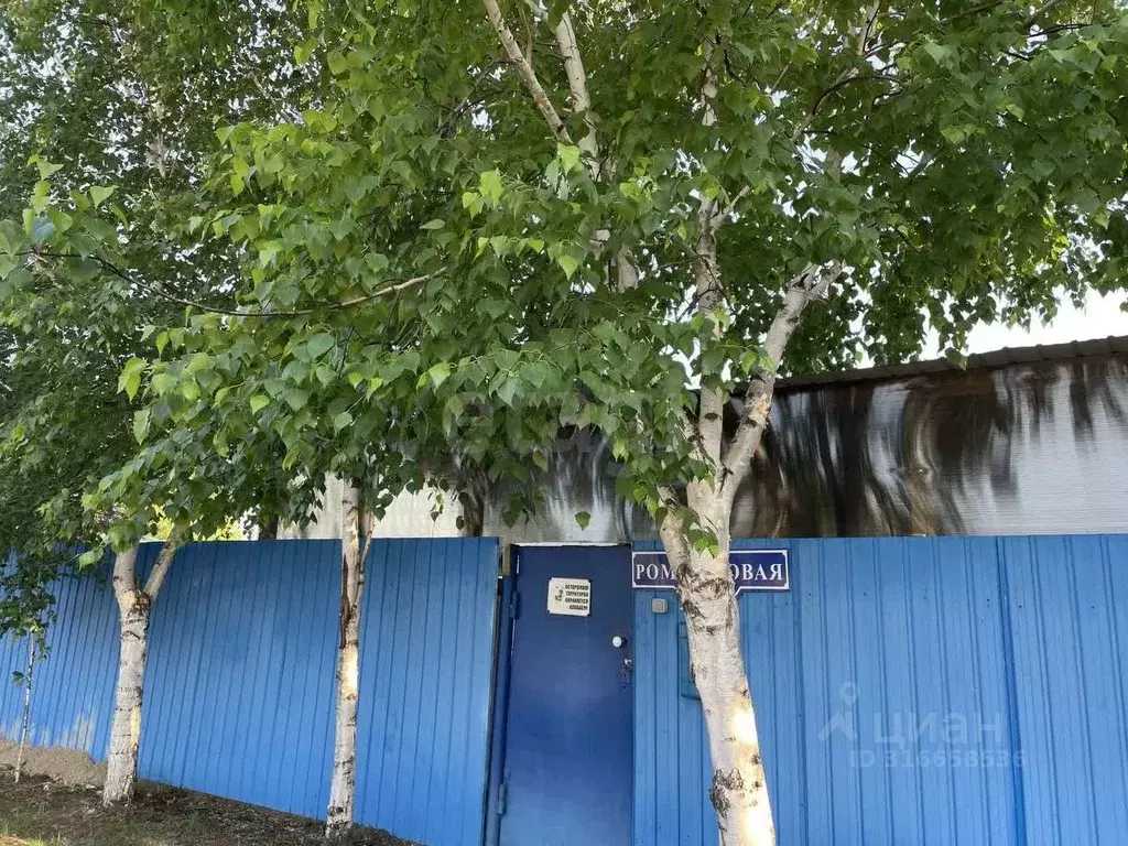 Дом в Амурская область, Благовещенск ул. Ромашковая, 21/11 (122 м) - Фото 0