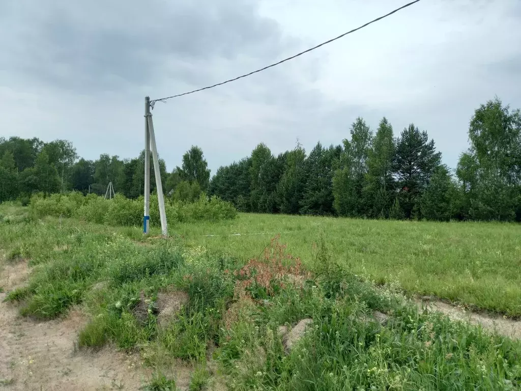 Участок в Московская область, Дмитровский муниципальный округ, с. ... - Фото 2