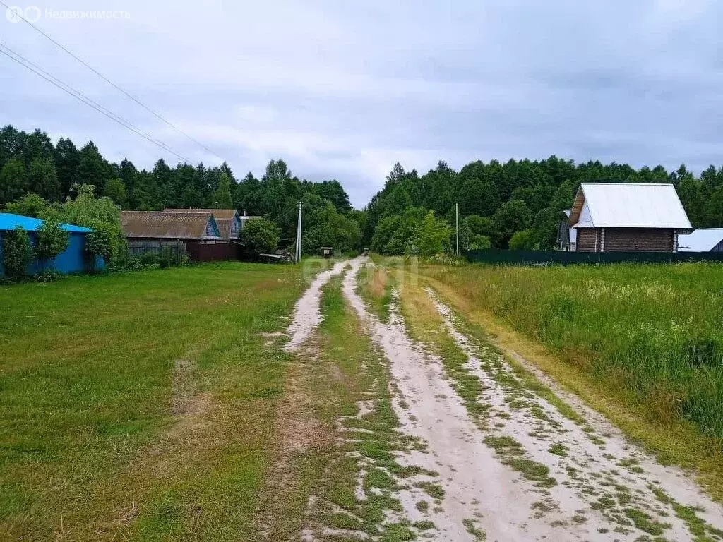 Участок в Медведевский район, Руэмское сельское поселение, деревня ... - Фото 1