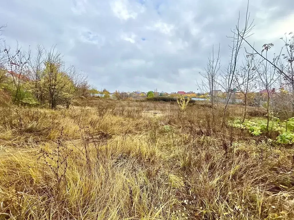 Участок в Белгородская область, Белгородский район, Дубовское с/пос, ... - Фото 1