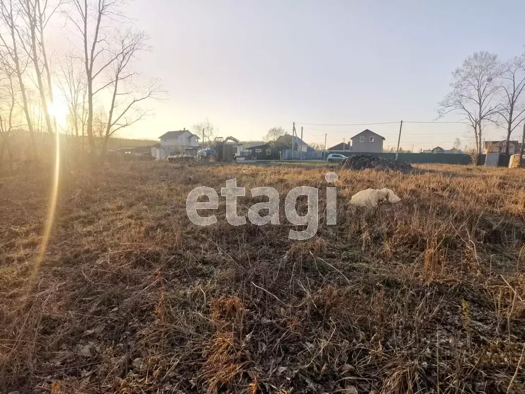 Купил участок а там. Село Дружба Хабаровск