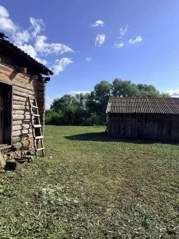 Участок в Самарская область, Кинельский район, Бобровка с/пос, с. ... - Фото 2