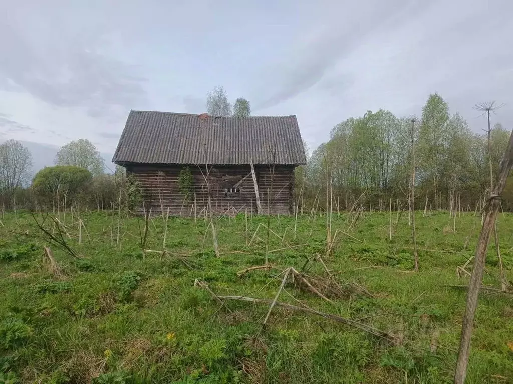Участок в Новгородская область, Маловишерский район, Бургинское с/пос, ... - Фото 1