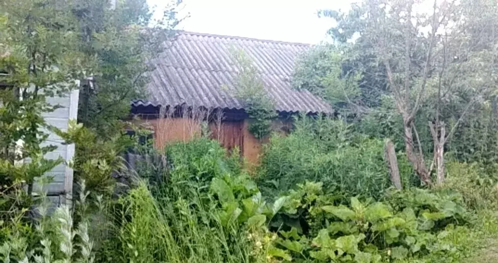 Дом в Тульская область, Тула городской округ, д. Барсуки  (90 м) - Фото 2