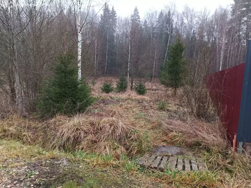 Участок в Московская область, городской округ Пушкинский, деревня ... - Фото 1