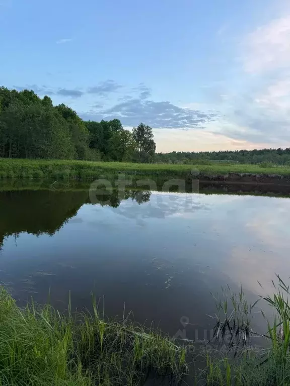 Участок в Костромская область, Красносельский район, Шолоховское ... - Фото 1