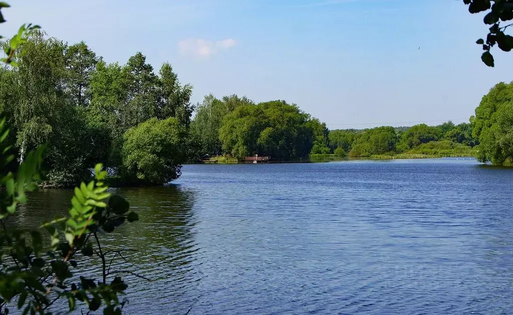 Участок в Московская область, Раменский городской округ, Великие Озера ... - Фото 0