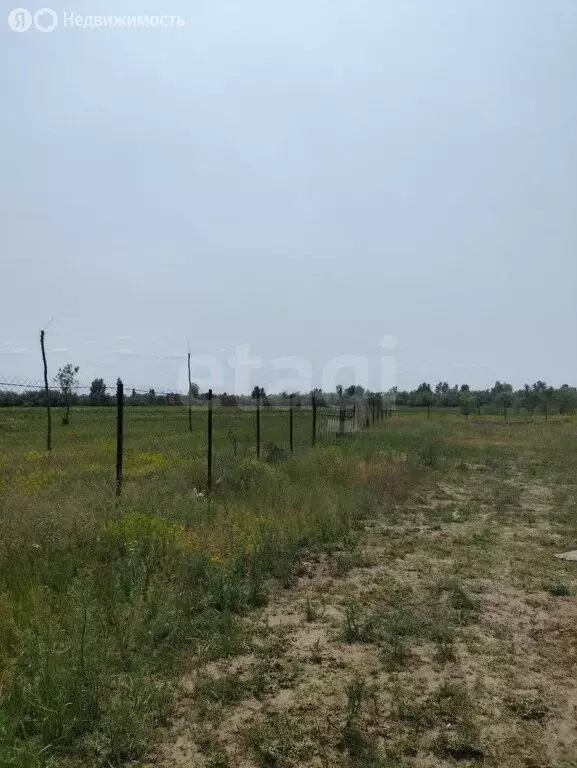 Участок в хутор Обуховка, бульвар Белой Акации (11.1 м) - Фото 1