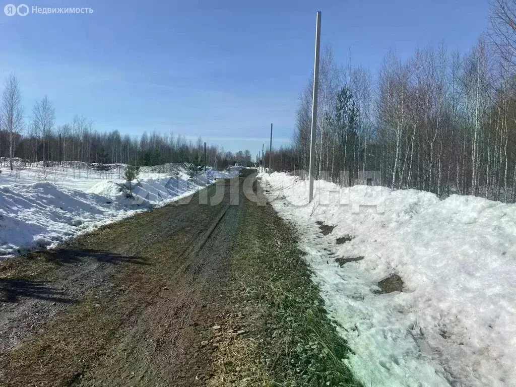 Участок в Барлакский сельсовет (16.2 м) - Фото 2