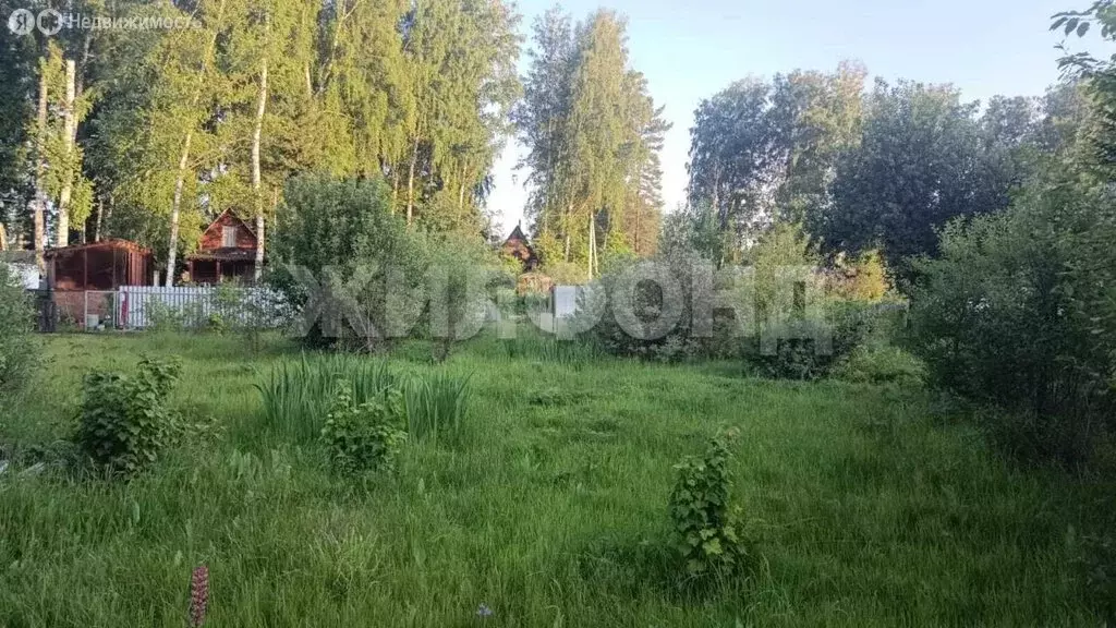 Дом в Новосибирск, НСТ Конструктор (20 м) - Фото 0